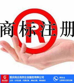 北碚工商變更指南 電子出版物業務的高效再就創造了靈感與嚴謹并重的流程路徑